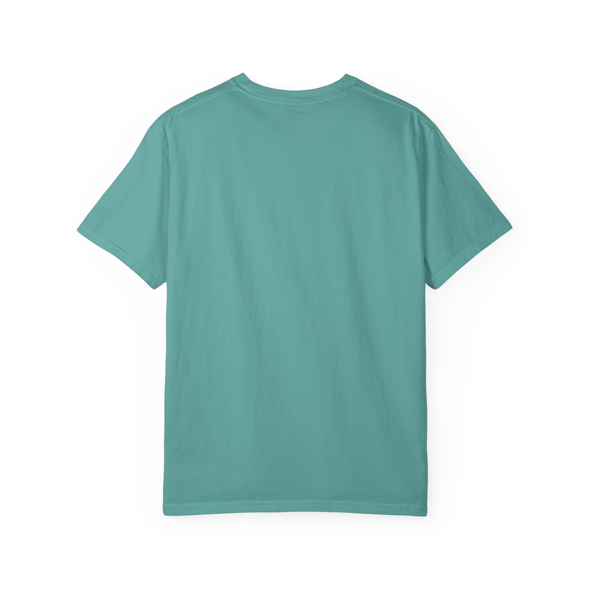 Spirit 23 Tee – Pelicans & Palm Graphic T-Shirt | Pelican Signal | 23 Pelicans