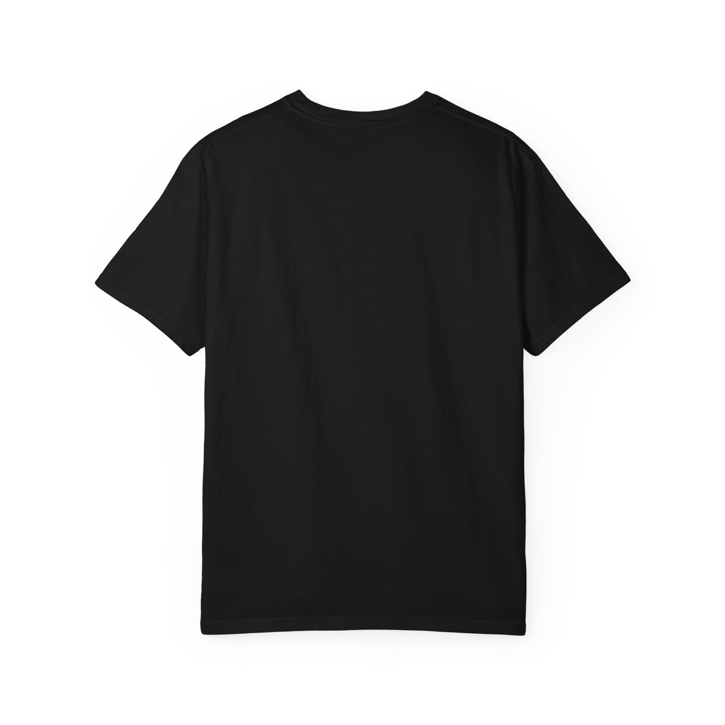 Spirit 23 Tee – Pelicans & Palm Graphic T-Shirt | Pelican Signal | 23 Pelicans