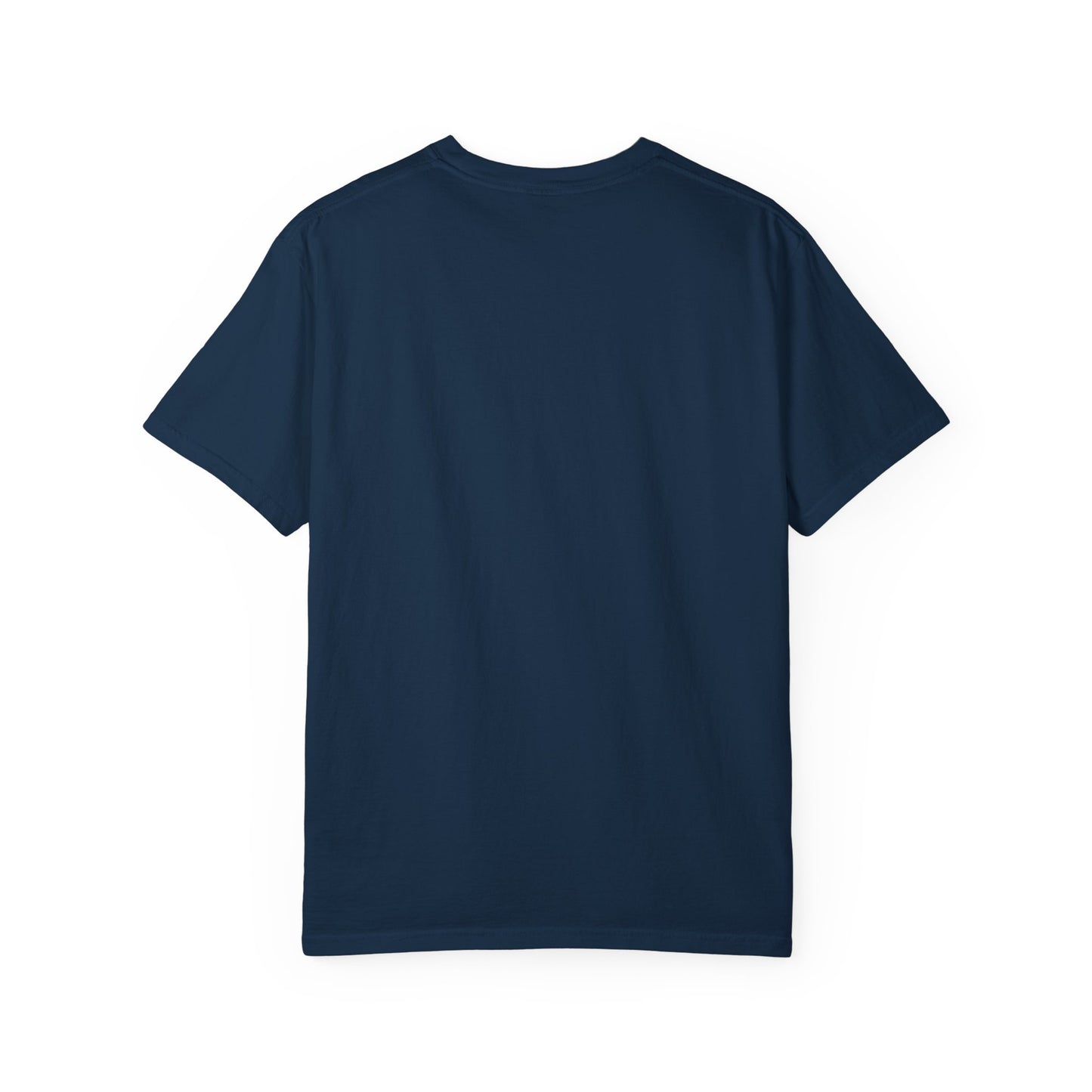 23 Pelicans Glitch Signal Tee | Minimal Distortion Logo Shirt | Glitch Reality Collection