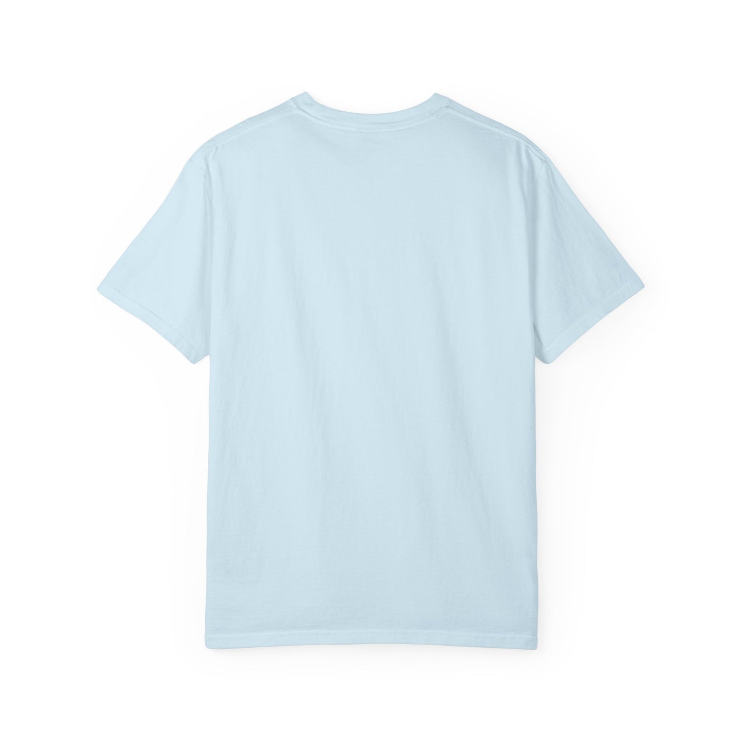 Spirit 23 Tee – Pelicans & Palm Graphic T-Shirt | Pelican Signal | 23 Pelicans
