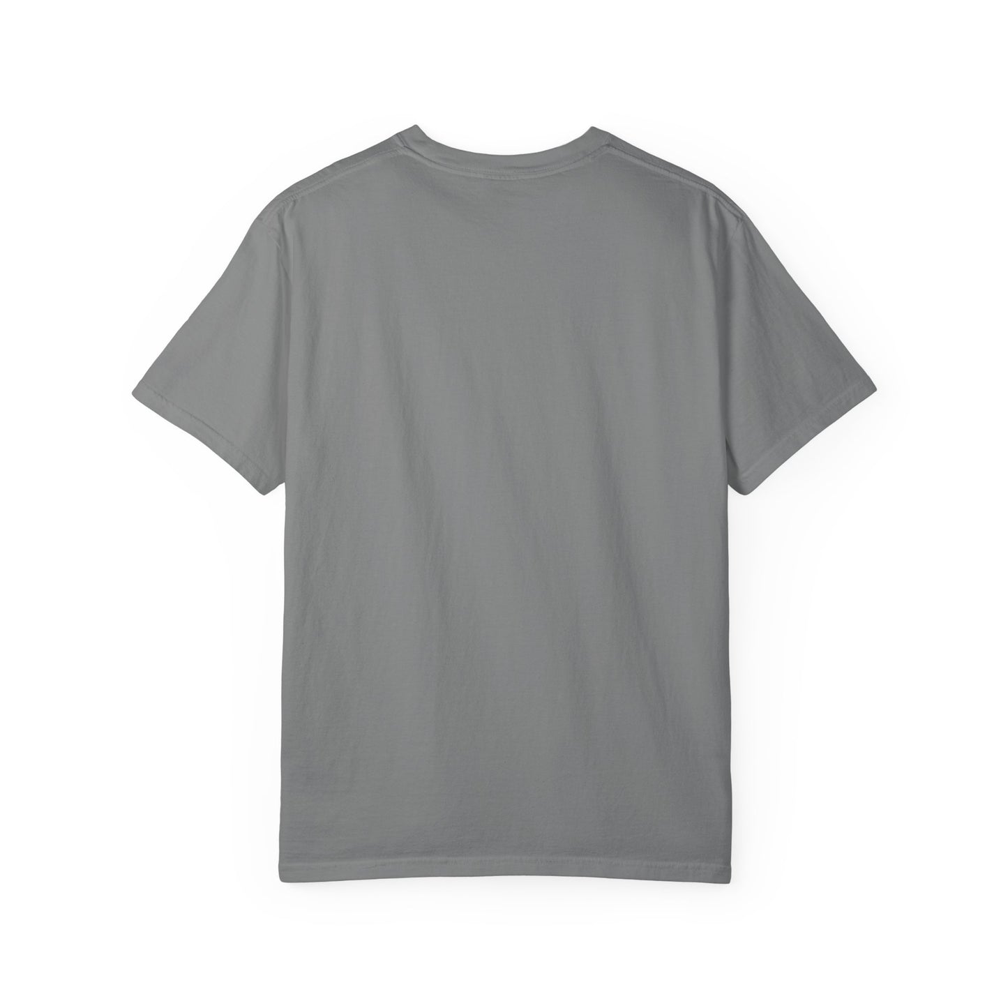 23 Pelicans Glitch Signal Tee | Minimal Distortion Logo Shirt | Glitch Reality Collection