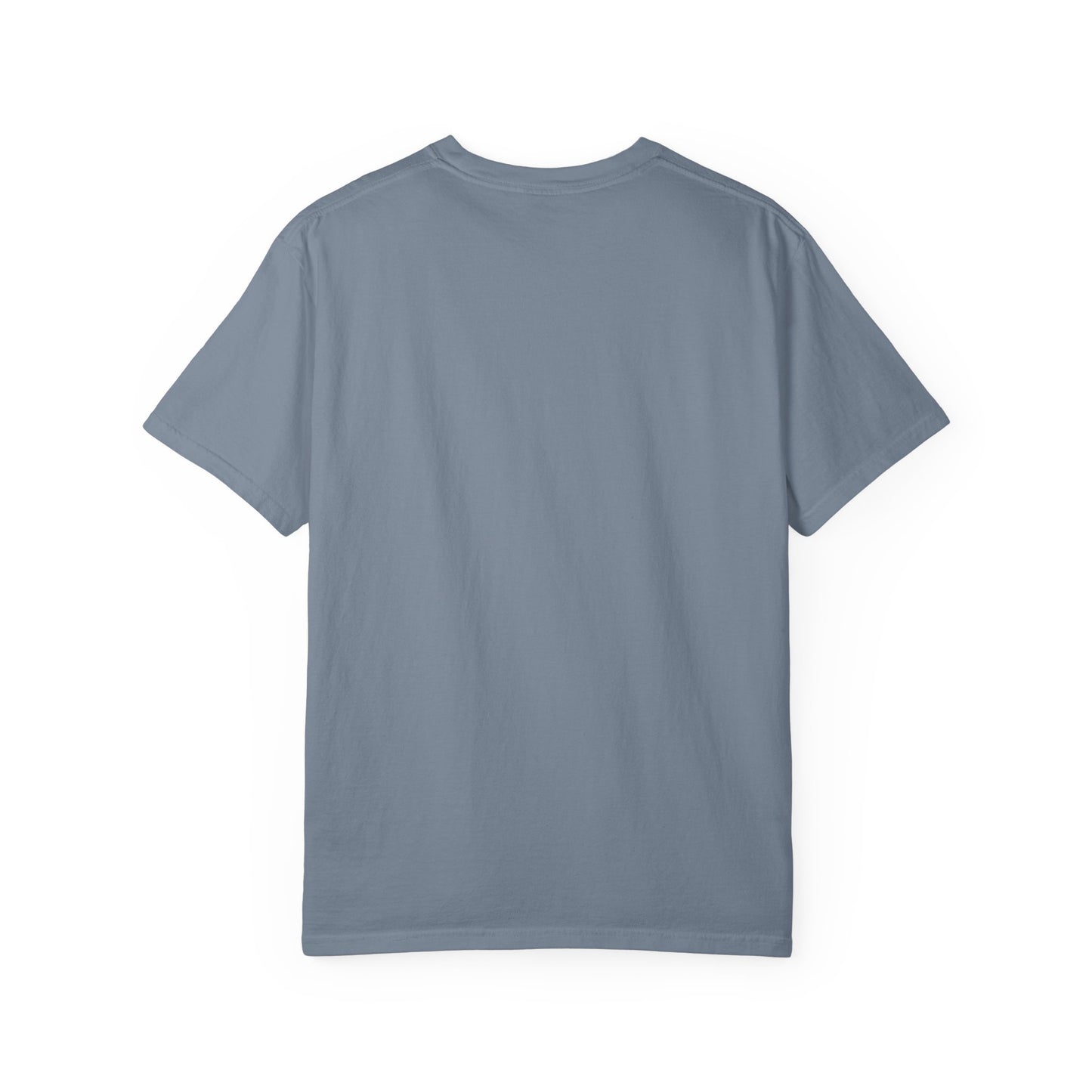 23 Pelicans Glitch Signal Tee | Minimal Distortion Logo Shirt | Glitch Reality Collection